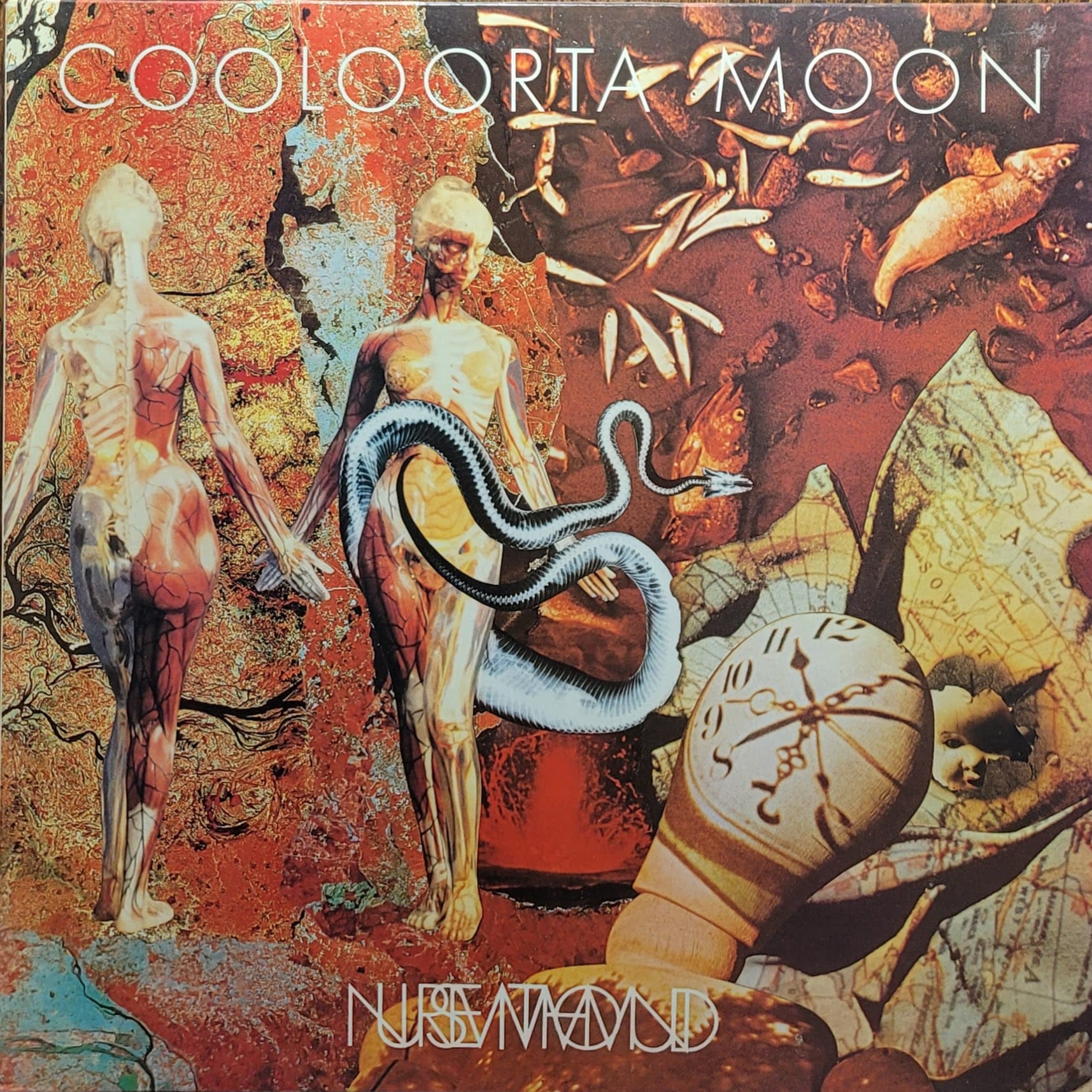 Nurse With Wound — Cooloorta Moon — Original