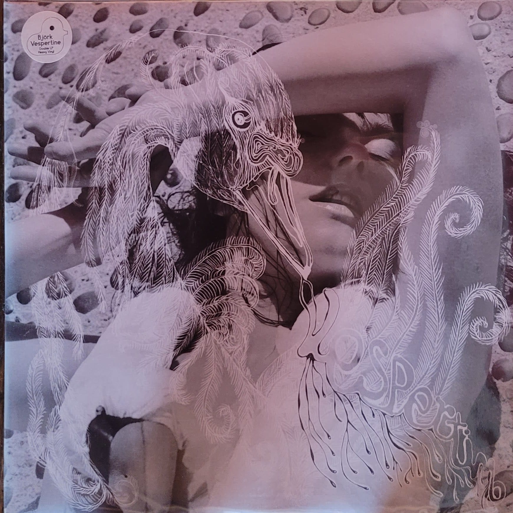 Björk — Vespertine — Original