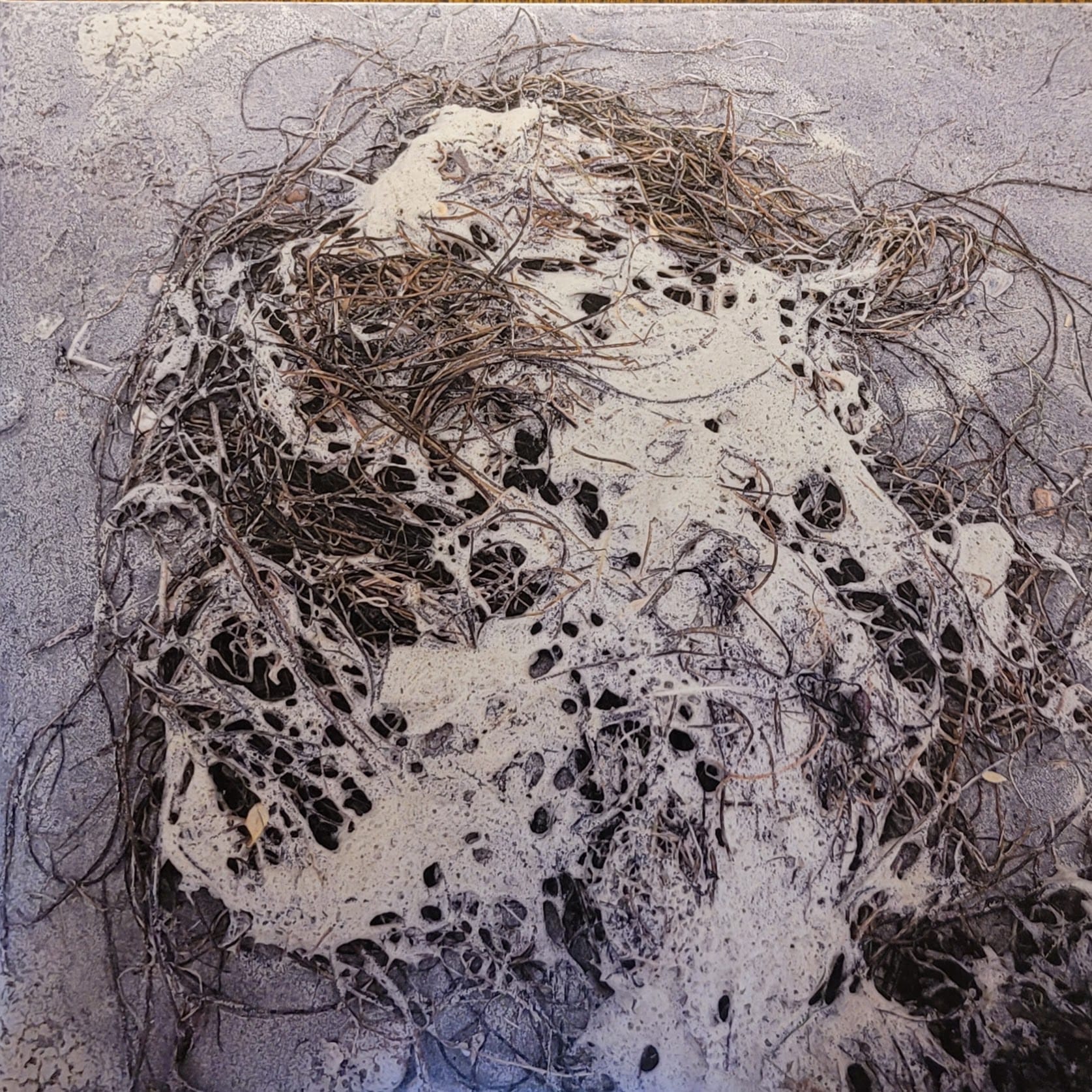 CS + Kreme — Orange — Original