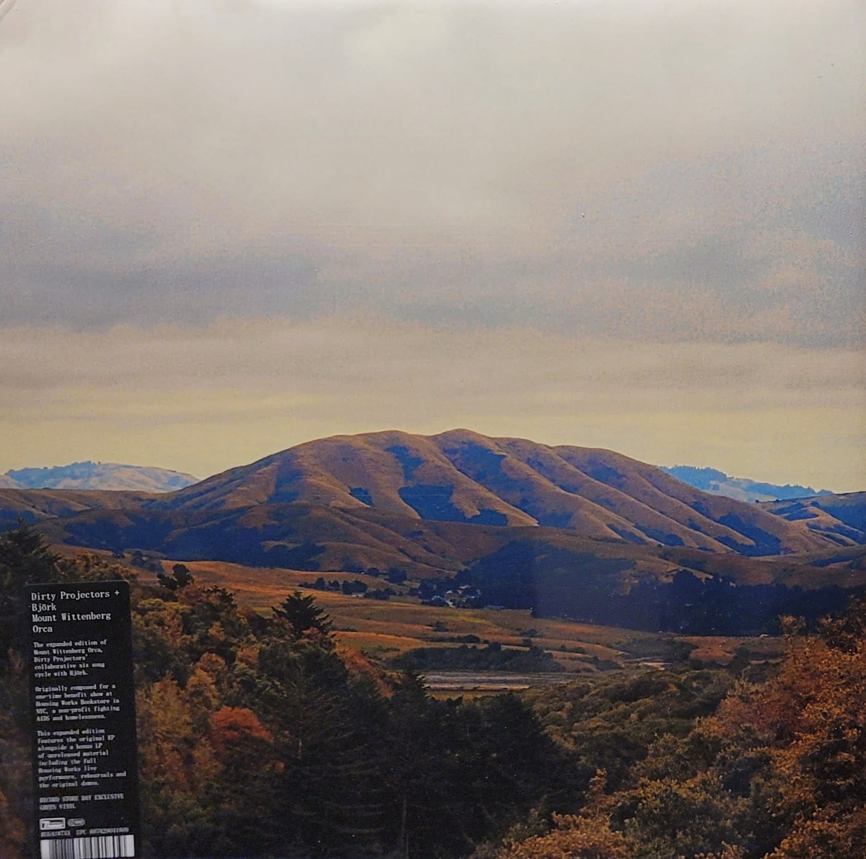 Dirty Projectors + Bjork - Mount Wittenberg Orca - Expanded Edition