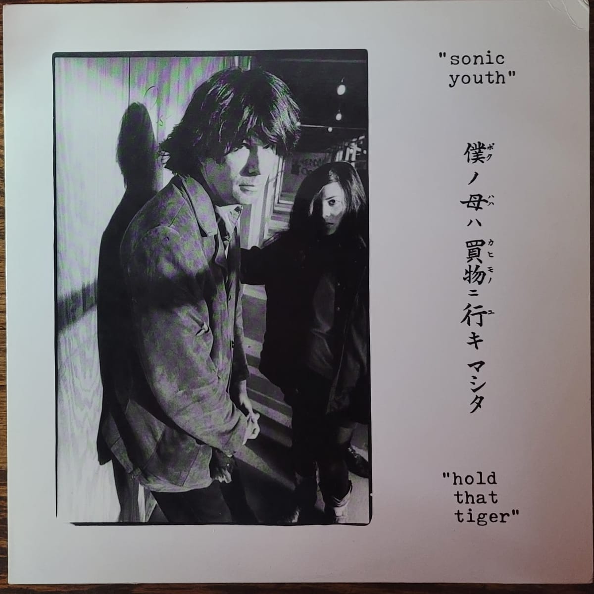 Sonic Youth — Hold That Tiger — Original