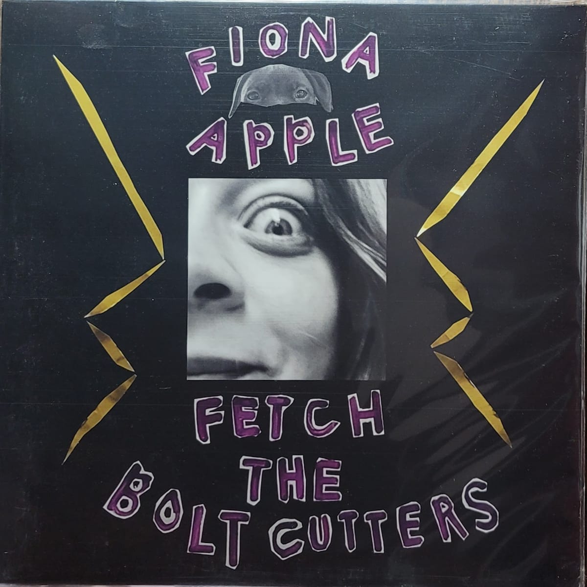 Fiona Apple — Fetch the Bolt Cutters — 2020