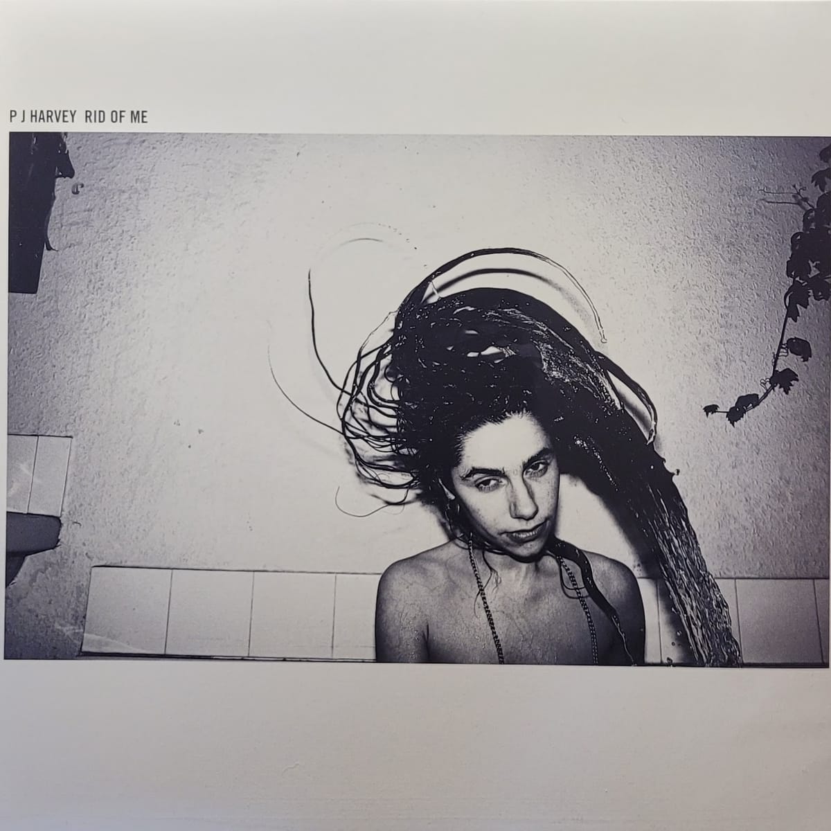 PJ Harvey — Rid of Me — 2020