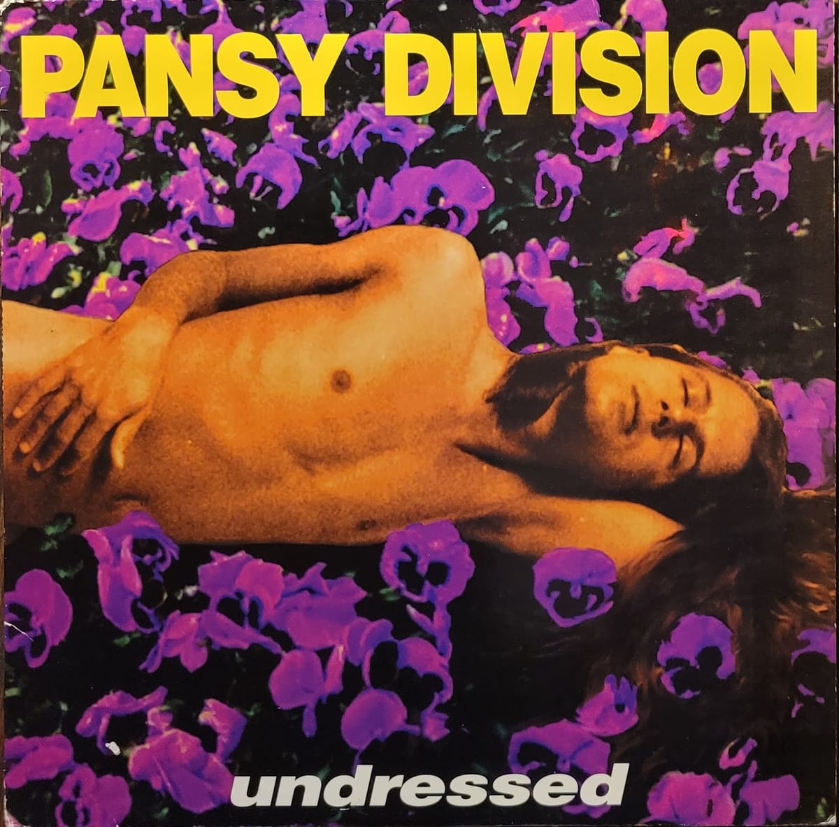 Pansy Division - Undressed - Original