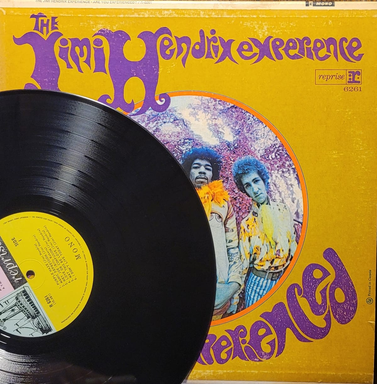 The Jimi Hendrix Experience - Are You Experienced - Canadian Mono
