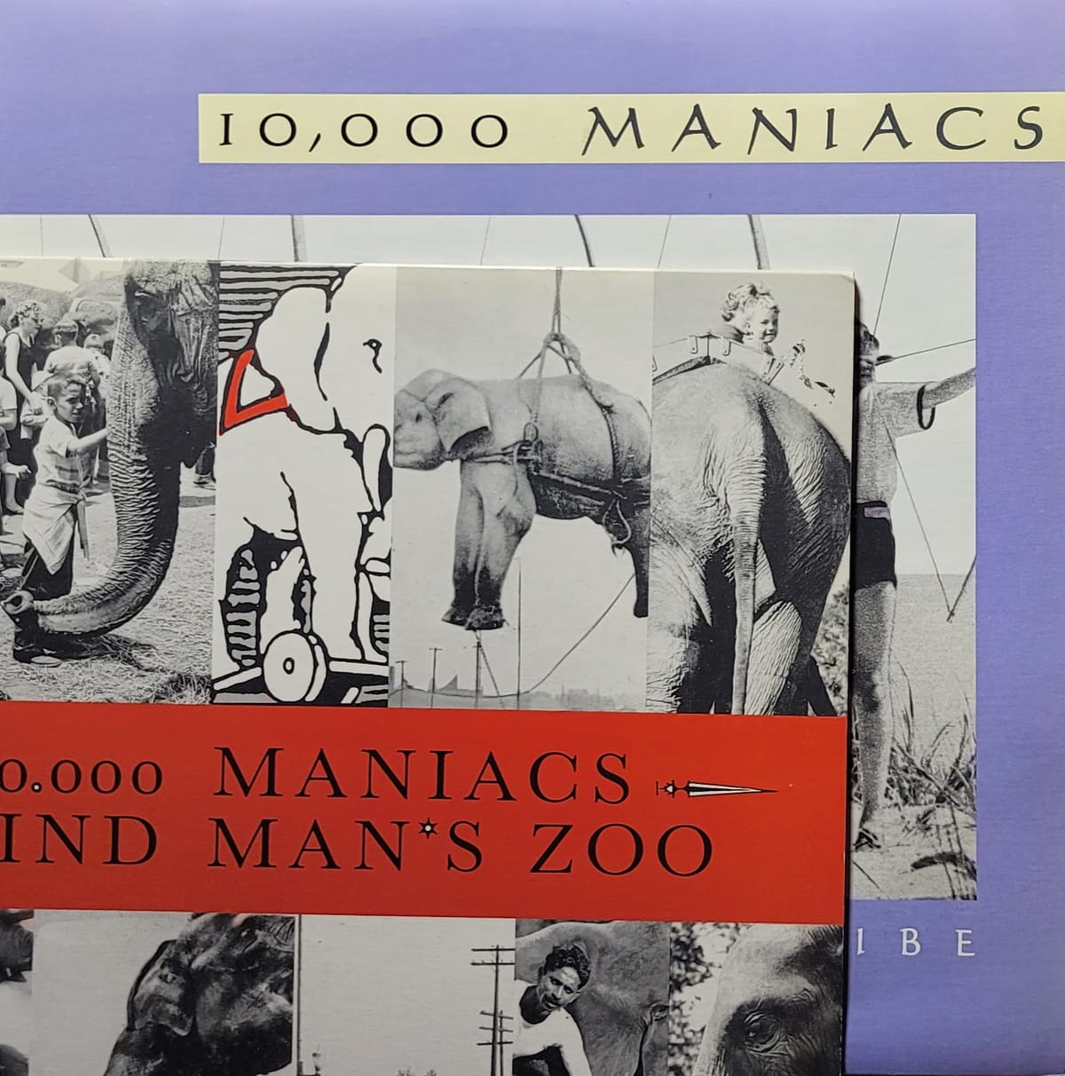 10,000 Maniacs - Blind Man's Zoo / In My Tribe - Canada