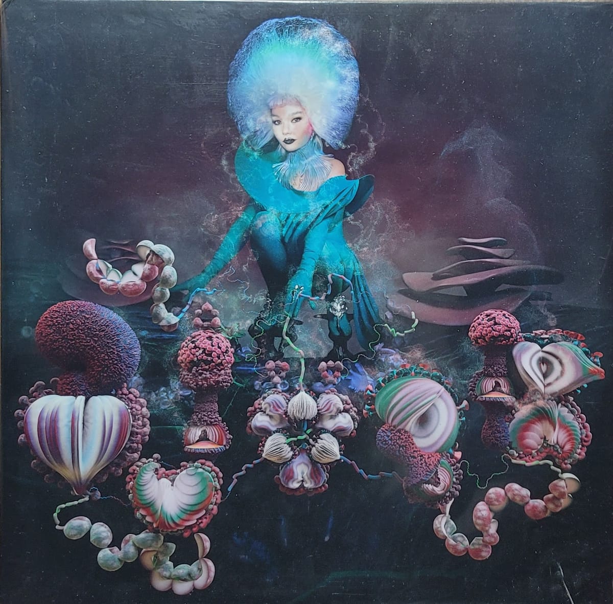 Björk ‎- Fossora - Original